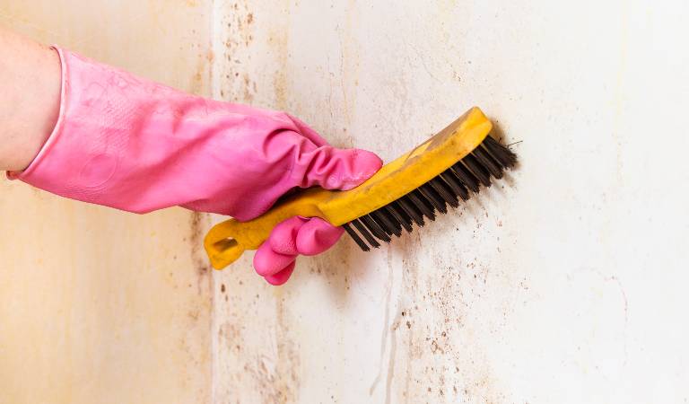 Woman in pink gloves holding a brush scrubbing a wall