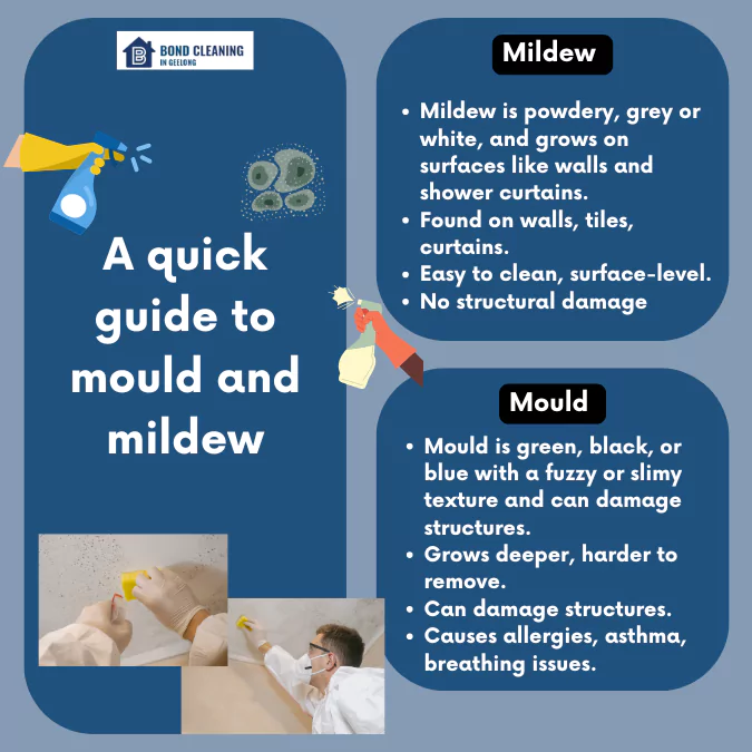 A quick guide to mould and mildew