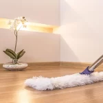 Close-up of potted plant on table at home and mopping floor