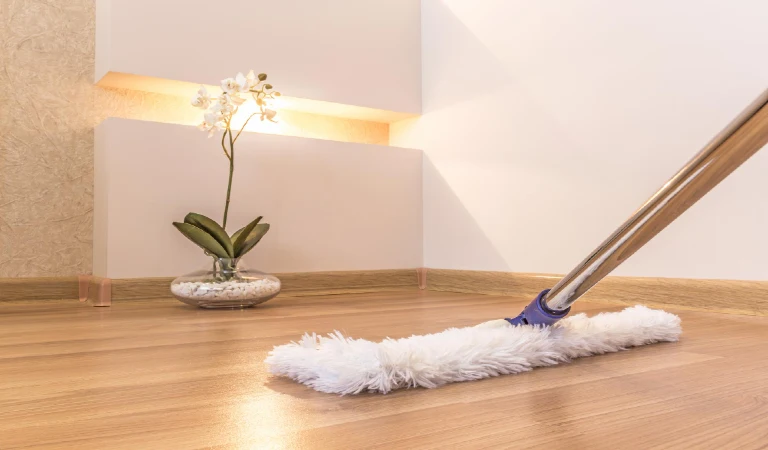 Close-up of potted plant on table at home and mopping floor